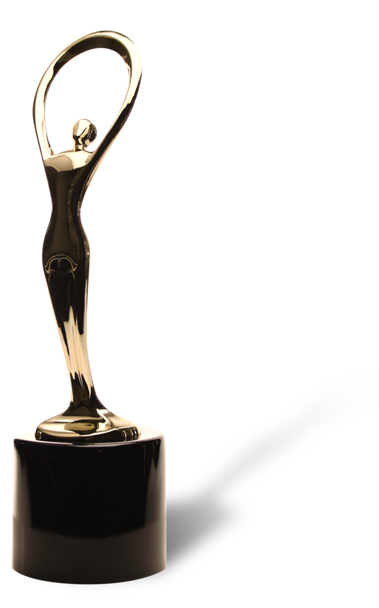 Award of Excellence