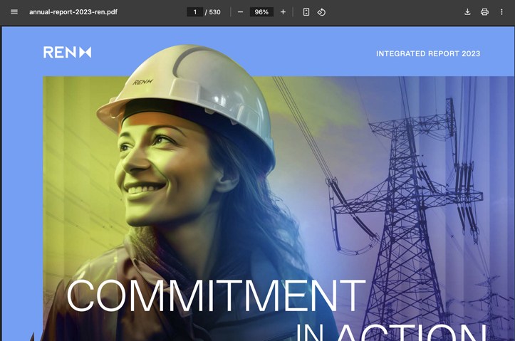 REN - Integrated Report 2023 by REN PRO, S. A.