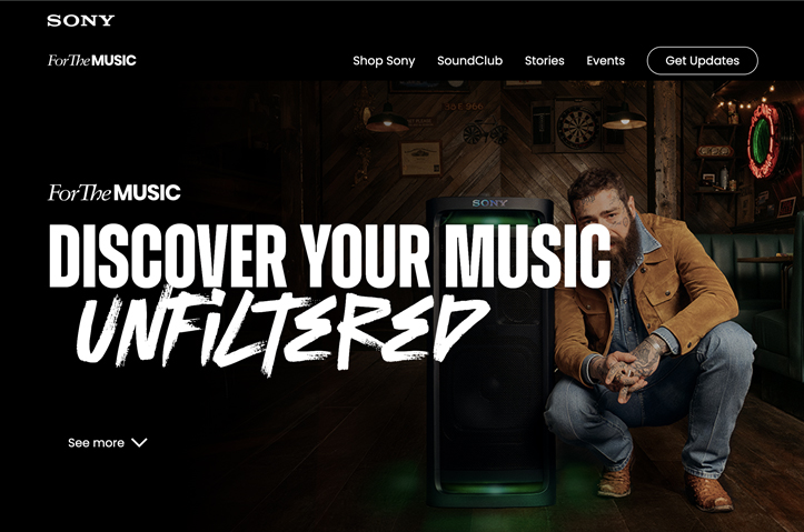 For the Music by Sony Electronics