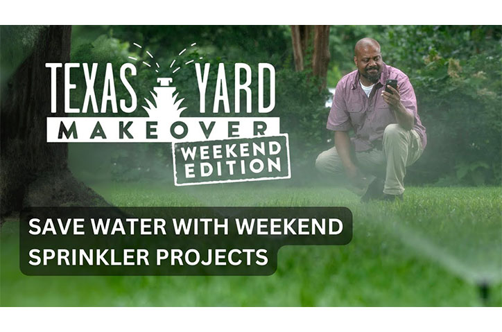 Weekend Sprinkler Projects by Glass House Strategy