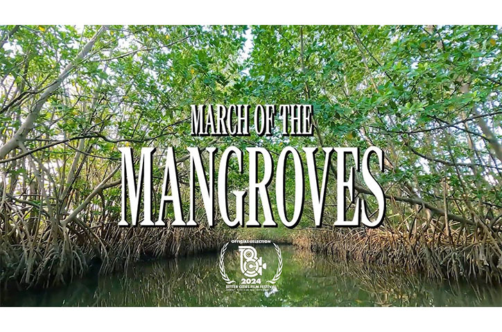 March of the Mangroves by University of Florida's College of Journalism and Communications