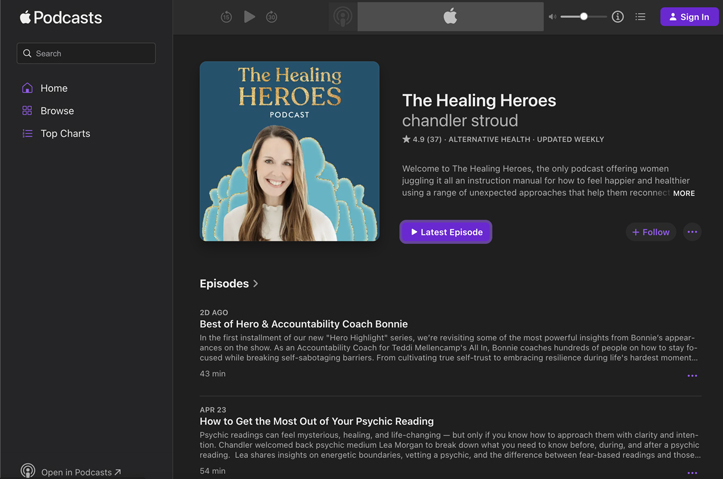The Healing Heroes by The Healing Heroes, LLC