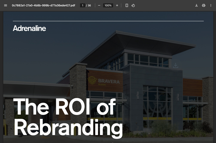 The ROI of Rebranding: Best Practices to Measure Business Value for Financial Brands by Adrenaline