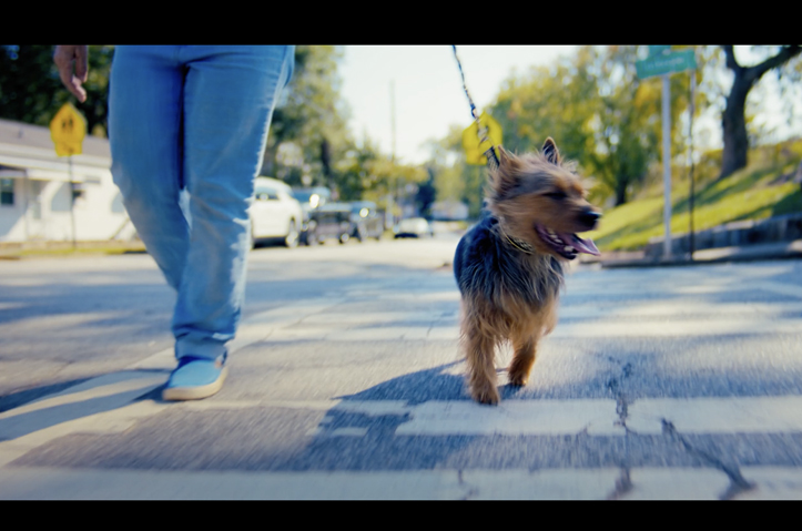 Everything We Do, We Do for Dogs by Leap Group Agency