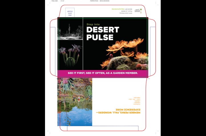 Desert Botanical Garden Fall 2025 Acquisiiton and Lapsed Reengagment Campaign by The Lukens Company