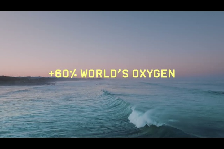 The Ocean Connections Cultural Platform by Old Surfer