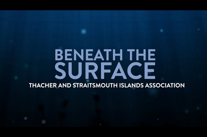 Beneath the Surface - Thacher and Straitsmouth Islands Association by 1623 Studios
