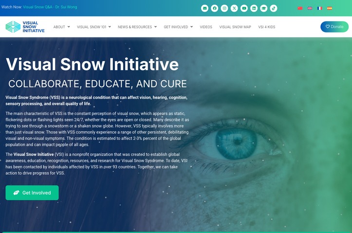 Visual Snow Initiative: Visual Snow Syndrome (VSS) Awareness & Education by Visual Snow Initiative