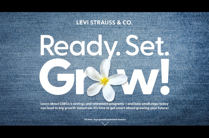 LS&Co. Financial Well-being mailer by Smith Communication Partners