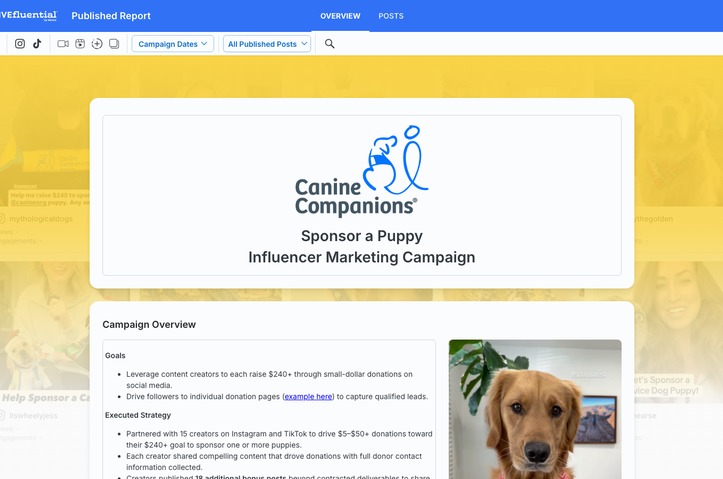 Sponsor a Puppy by Moore