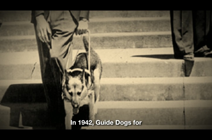 Guide Dogs for the Blind's Day of Giving by RKD Group
