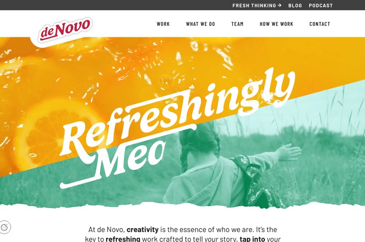de Novo Marketing - Website by de Novo Marketing