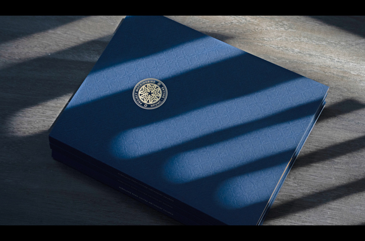 Project Mockingbird | Capital Campaign Pitch Packet by Tegan Digital