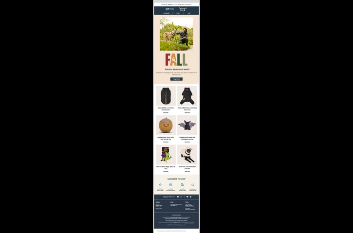 Breed Personalized Promotions: How Pet Valu used AI powered digital twin innovation to boost email connection with material results by WTD (William Thomas Digital)