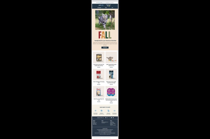 Breed Personalized Promotions: How Pet Valu used AI enabled digital twin innovation to boost connection with material results by WTD (William Thomas Digital)