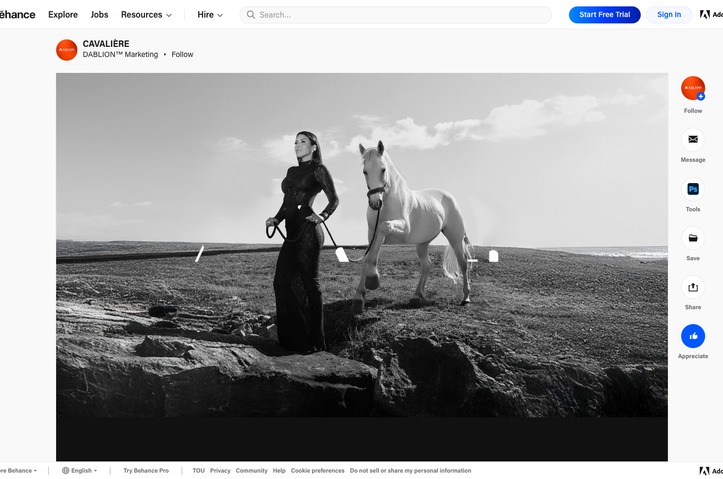 Cavalière by Dablion Marketing INC