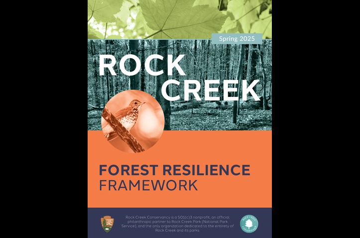 Rock Creek Park and Rock Creek Conservancy Forest Resilience Report by LINK Strategic Partners