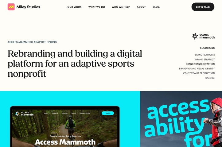 Access Mammoth Branding for Nonprofit by Miley Studios